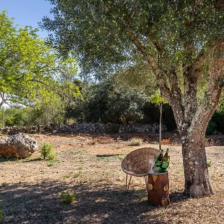 Holiday home Moradia Com Piscina -
